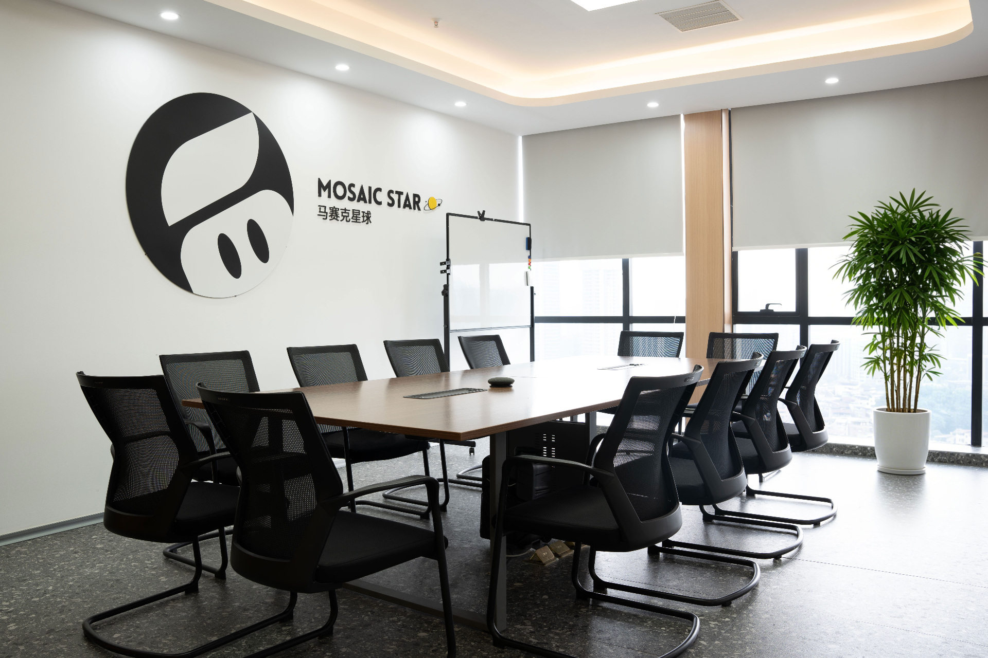 MOSAIC Star Meeting Room